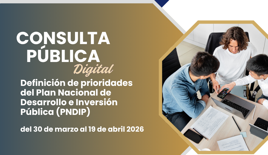 Consulta Pública Digital