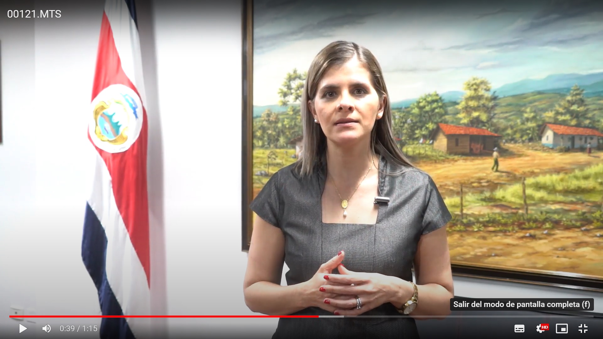 Enlace a las declarciones de la ministra Laura Fernández