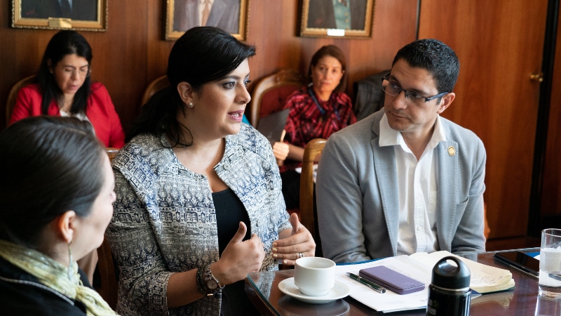 Ministra de Planificación y Ministro de Salud