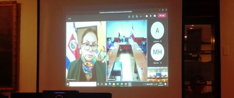 Representantes ecuatorianos presentes por medios virtuales