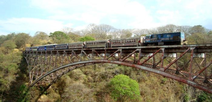 Imagen del tren