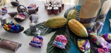 Cacao_RHN1.jpeg